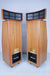 Cadence Anina Electrostatic Hybrid Floorstanding Speakers