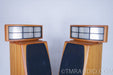Cadence Anina Electrostatic Hybrid Floorstanding Speakers