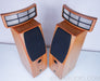 Cadence Anina Electrostatic Hybrid Floorstanding Speakers