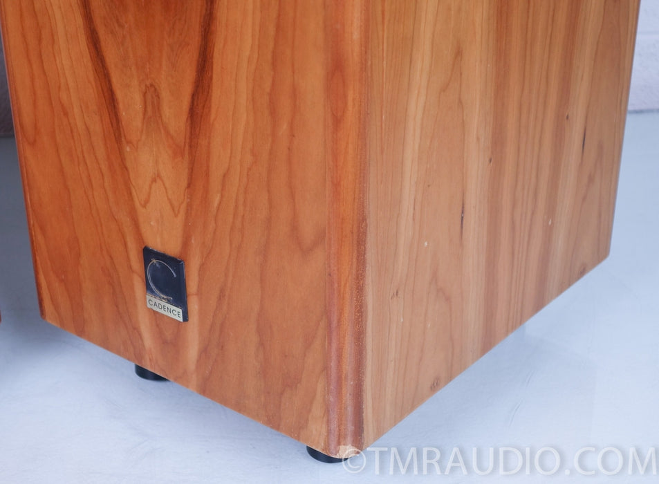 Cadence Anina Electrostatic Hybrid Floorstanding Speakers