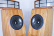 Cadence Anina Electrostatic Hybrid Floorstanding Speakers