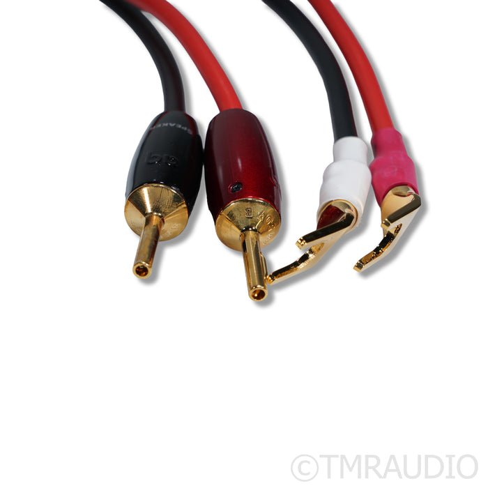 Shunyata Research Venom Speaker Cables; 2.5m