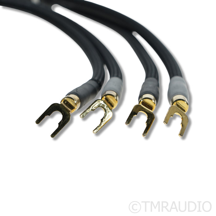 Shunyata Research Theta Speaker Cables; 4m