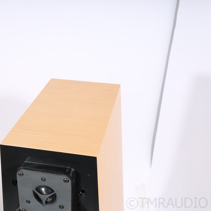 Vandersteen Treo CT  Floorstanding Speakers