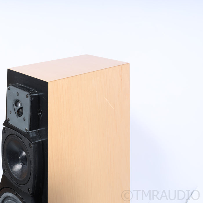 Vandersteen Treo CT  Floorstanding Speakers