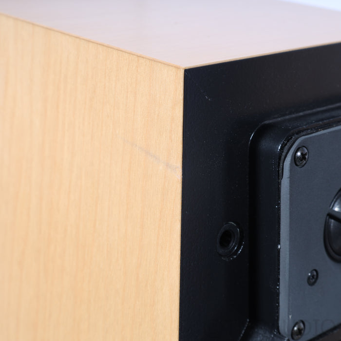 Vandersteen Treo CT  Floorstanding Speakers