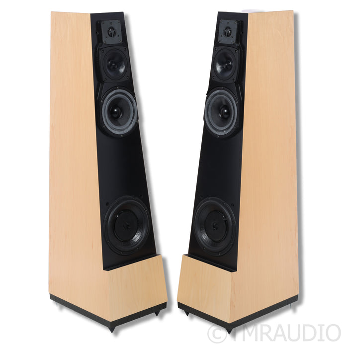 Vandersteen Treo CT  Floorstanding Speakers