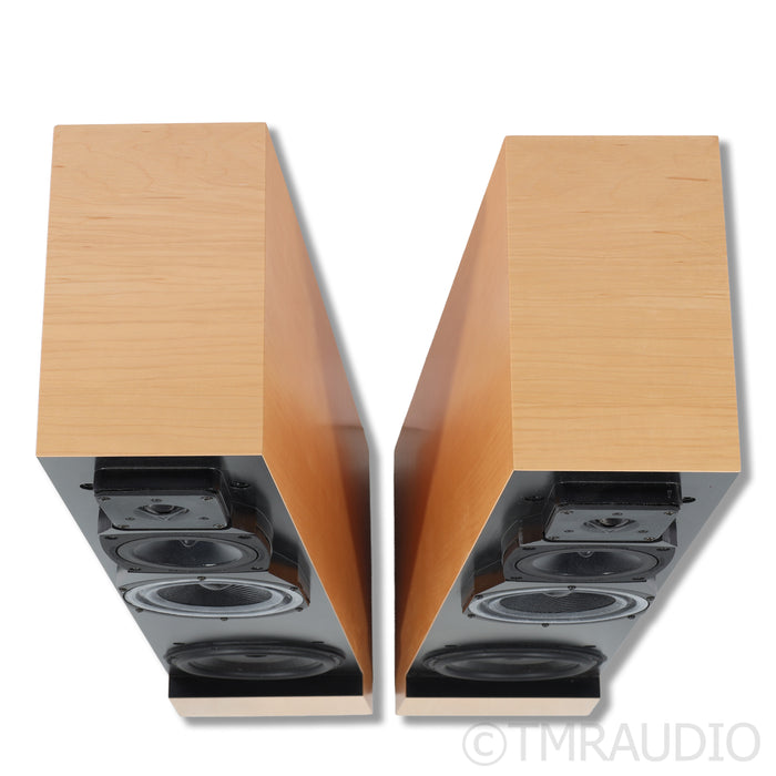 Vandersteen Treo CT  Floorstanding Speakers