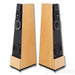 Vandersteen Treo CT  Floorstanding Speakers