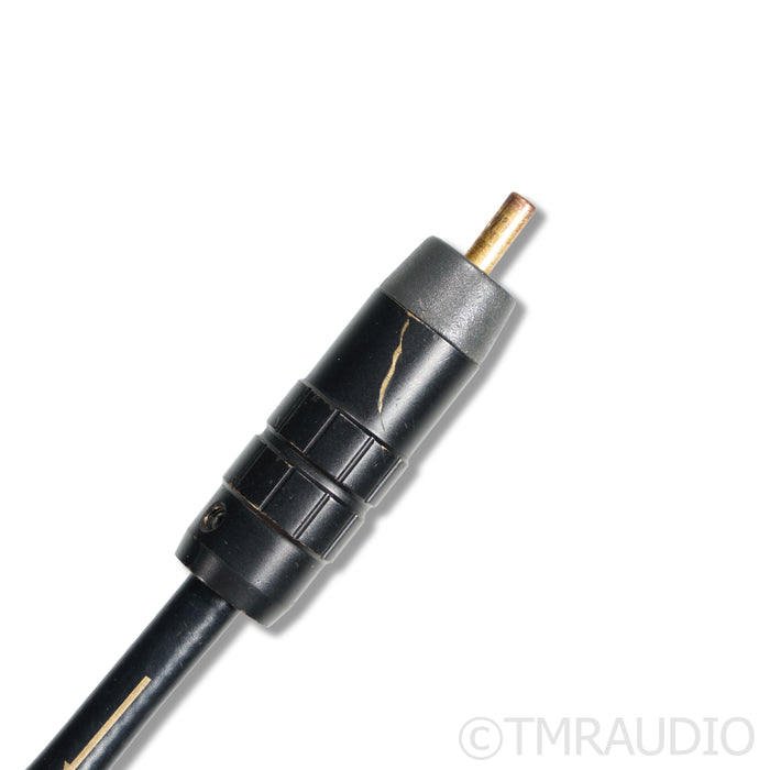 Audience Au24 SX RCA Cables; 1m