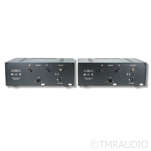Galion Audio Discovery Monoblocks Power Amplifiers