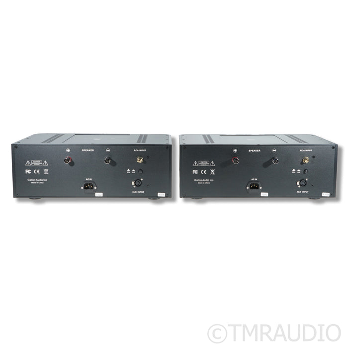Galion Audio Discovery Monoblocks Power Amplifiers