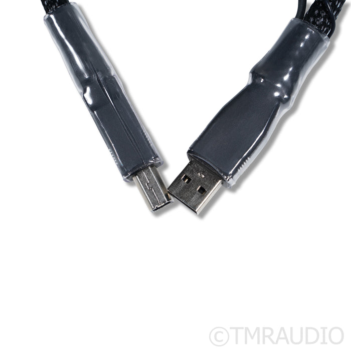 Synergistic Research Atmosphere SX Reference USB Cable; 1m