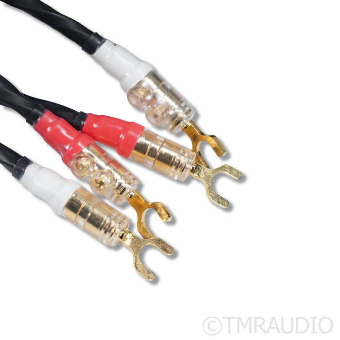 Master Built Audio Reference II Speaker Cables; 2.5m