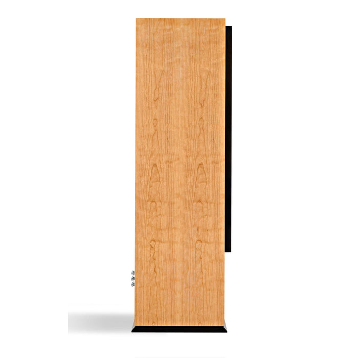 ATC SCM200PSLT Passive Floorstanding Speakers side view