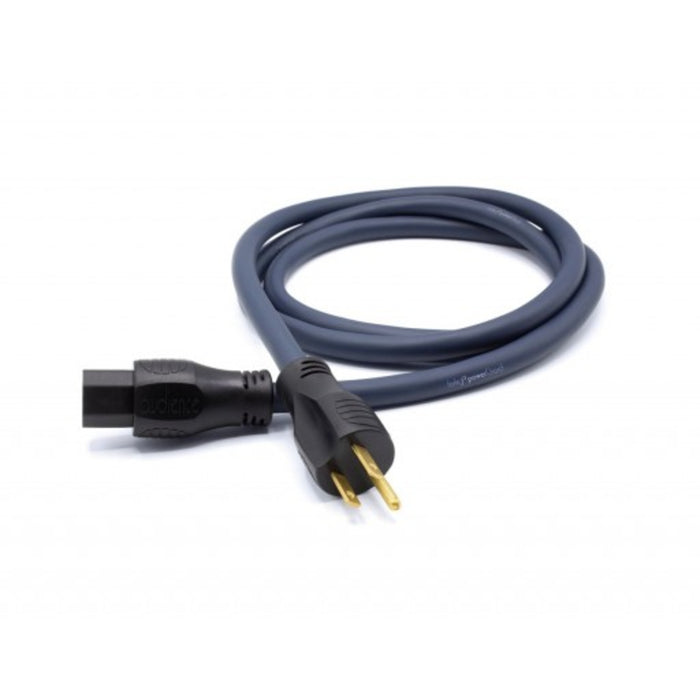 Audience forte f3 powerChord
