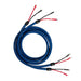 Cardas Clear Cygnus Speaker Cables
