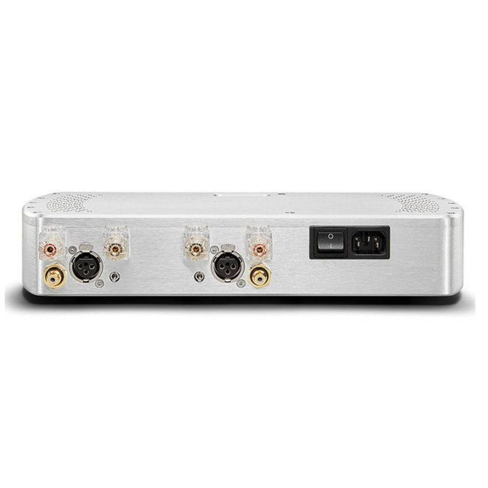 Chord Electronics Etude Stereo Power Amplifier rear panel, inputs and outputs