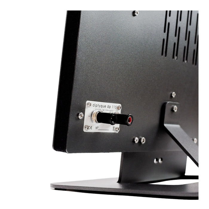 Diptyque DP85 Isodynamic Floorstanding Speakers, Black rear view, binding posts detail