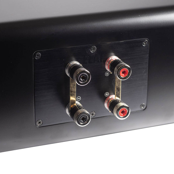 ELAC Carina Center Channel Speaker, satin black rear view close up, binding posts