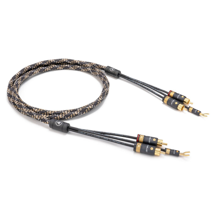 T8 RCA