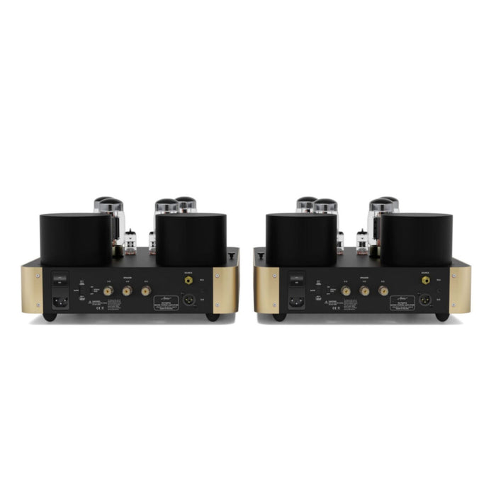 Fezz Audio Olympia Monoblock Power Amplifiers, back view