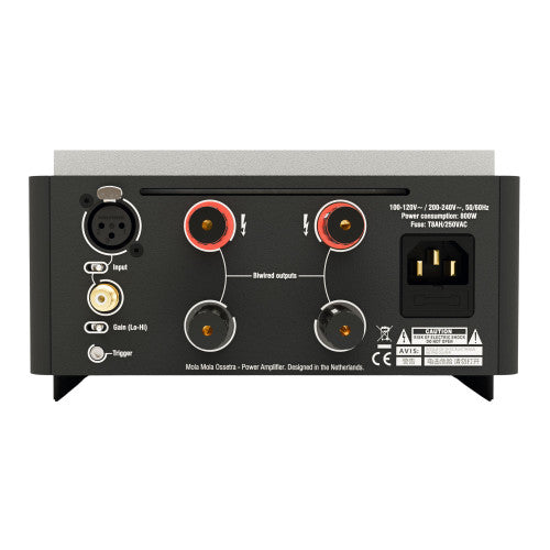 Mola Mola Ossetra Monoblock Power Amplifier rear panel, inputs and outputs