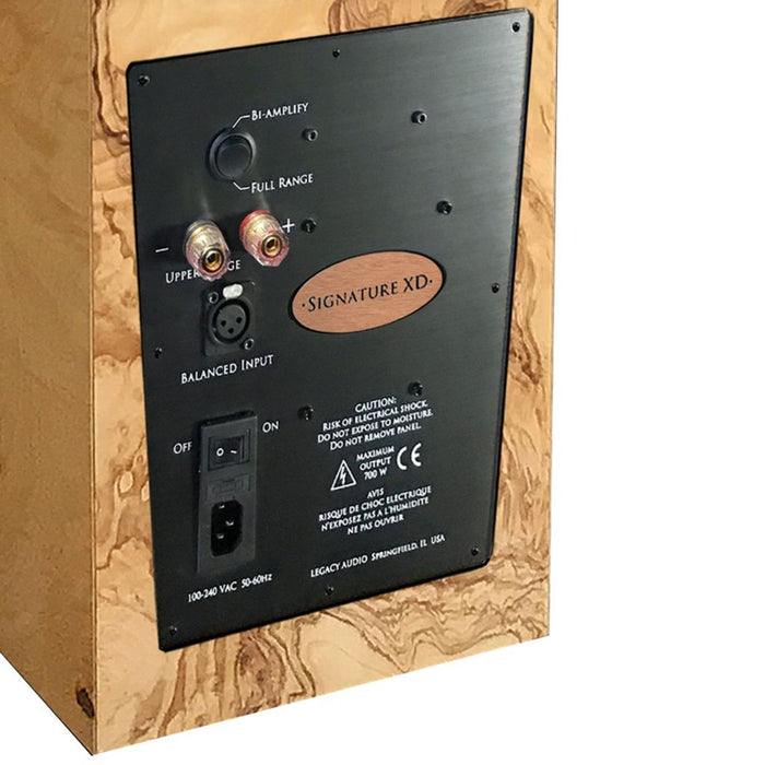Legacy Audio Signature XD Floorstanding Speakers rear view