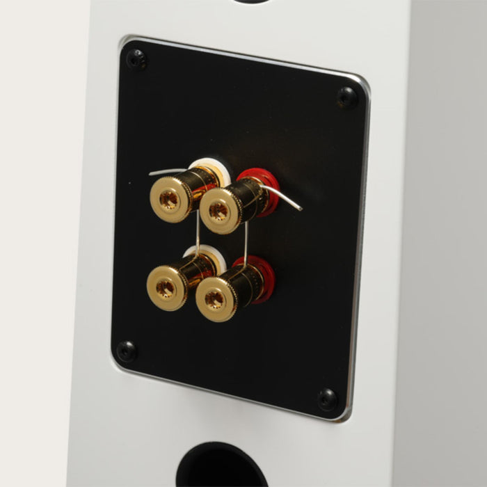 Totem Acoustic Thunderbird Floorstanding Speakers detail