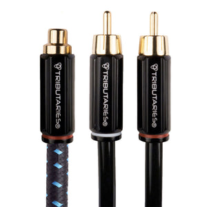 Tributaries Series 4 Y Adapter