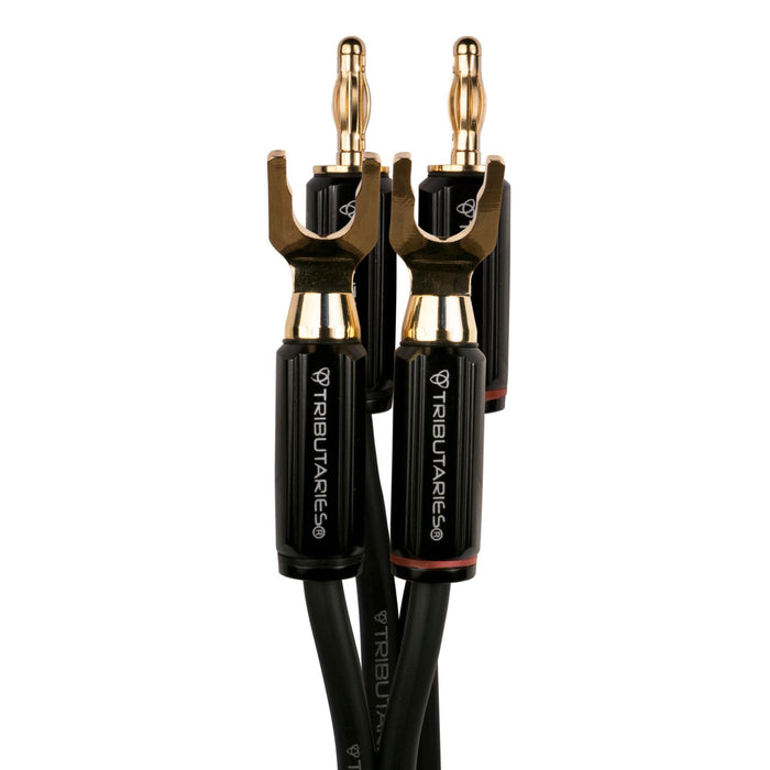 Tributaries Series 6 MkII Speaker Cables, spade and banana connectors close up