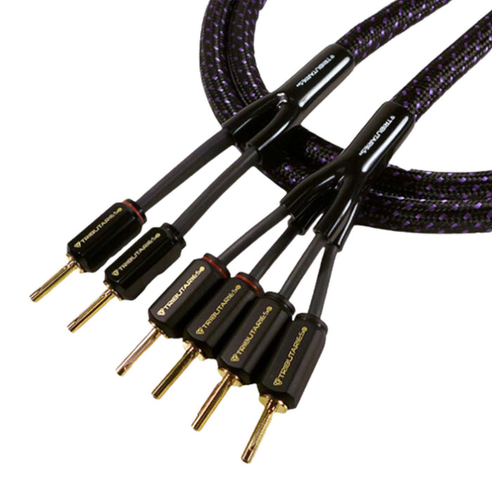 Tributaries Series 6 Speaker Cables, Pair